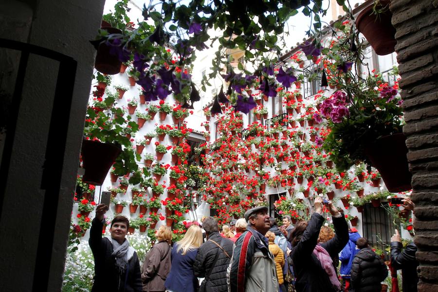 Córdboa vive estos días su tradicional fiesta de los patios, que llena de aroma y color sus calles con multicolores flores. El evento atrae a miles de turistas cada año.