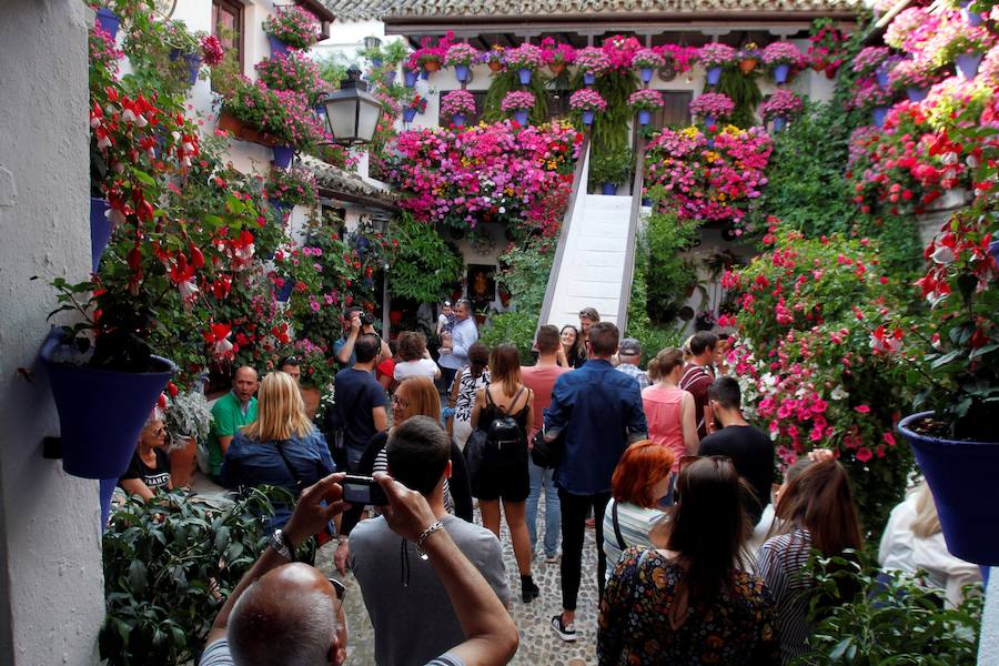 Córdboa vive estos días su tradicional fiesta de los patios, que llena de aroma y color sus calles con multicolores flores. El evento atrae a miles de turistas cada año.
