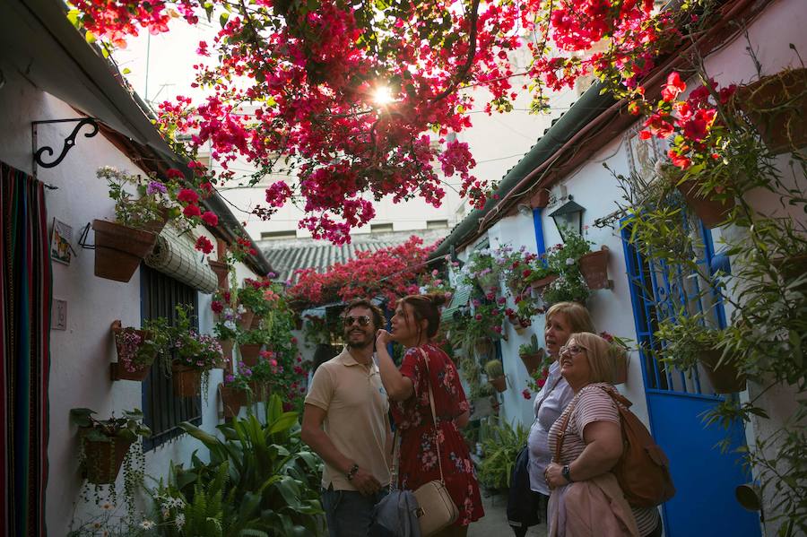 Córdboa vive estos días su tradicional fiesta de los patios, que llena de aroma y color sus calles con multicolores flores. El evento atrae a miles de turistas cada año.