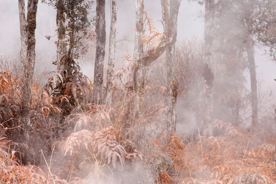 Una nueva fisura que emite lava y vapor impulsó el domingo a las autoridades en Hawái a ordenar más evacuaciones mientras los residentes se preparan para una erupción del volcán Kilauea.