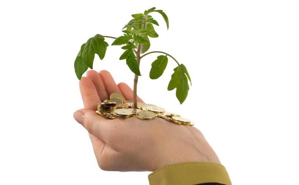 La inversión socialmente responsable coge impulso