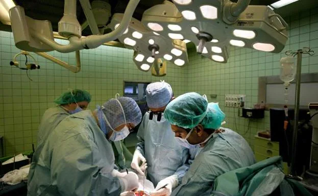«El 70% de los pacientes recibe un riñón en dos años»