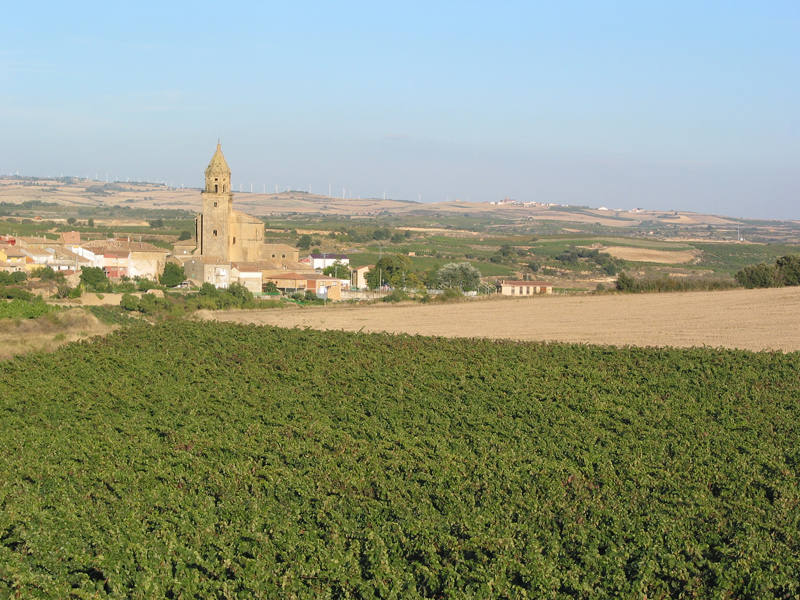 Entre la majestuosa sierra de Cantabria y las orillas del Ebro se extiende un territorio de suaves colinas donde se funden modernidad y tradición