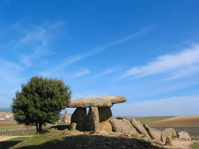 Entre la majestuosa sierra de Cantabria y las orillas del Ebro se extiende un territorio de suaves colinas donde se funden modernidad y tradición