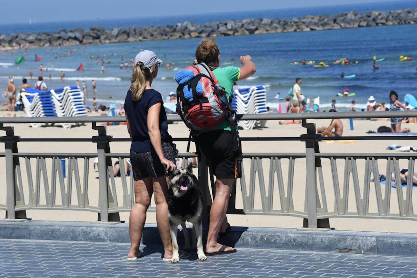 El buen tiempo nos acompañará toda la semana en la capital guipuzcoana salvo la jornada del miércoles, en la que caerán precipitaciones sin gran importancia