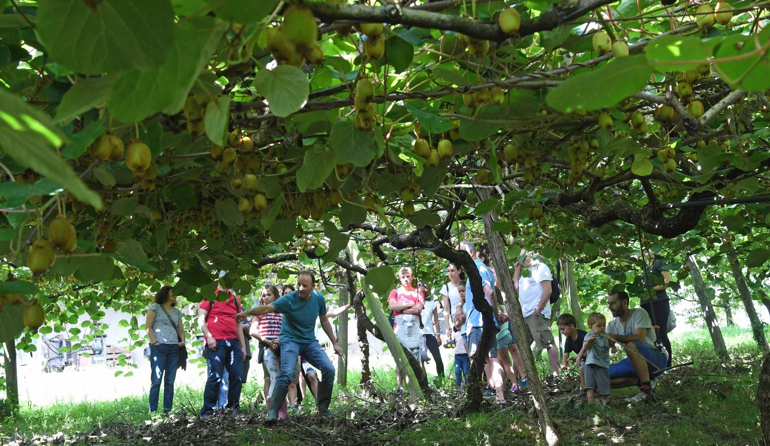 «Ongi etorri baserrira!» es una iniciativa de puertas abiertas que permite visitar caseríos guipuzcoanos y ver cómo es su día a día trabajando