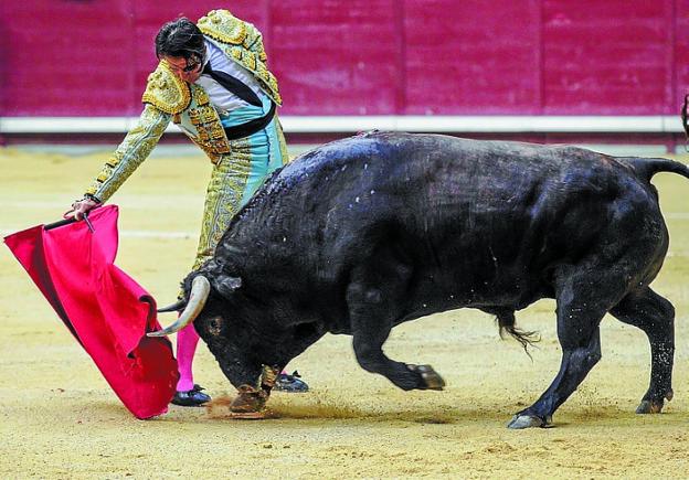 San Fermín 2018: «No veo motivos para no torear en San Fermín», dice Padilla