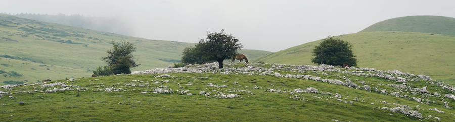 Lo que estaba catalogado como «túmulo» ha resultado ser una edificación -de planta aparentemente octogonal- que data de la época de los romanos. Concretamente, de entre los siglos I y III de nuestra era.