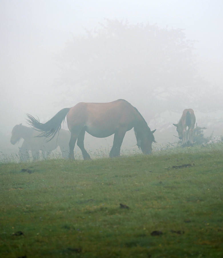 Lo que estaba catalogado como «túmulo» ha resultado ser una edificación -de planta aparentemente octogonal- que data de la época de los romanos. Concretamente, de entre los siglos I y III de nuestra era.