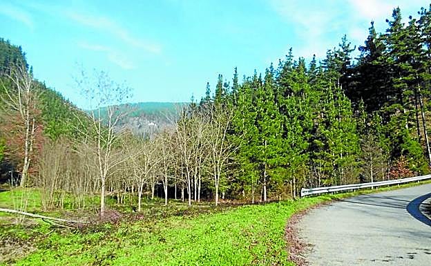 Antoña. Estado actual en el que se encuentra la zona donde se ubicará el humedal.