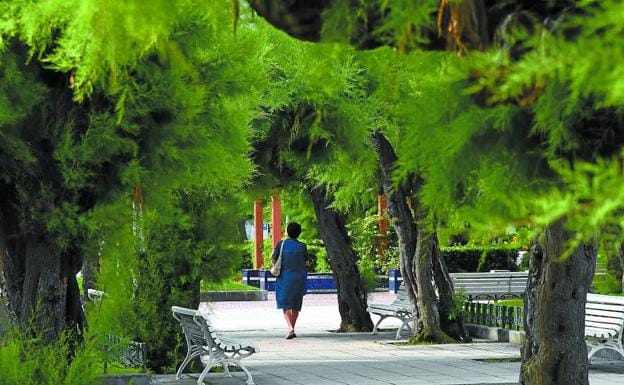 Una mujer pasea por Alderdi Eder entre los frondosos tamarices del verano. En esta zona están los más antiguos. 