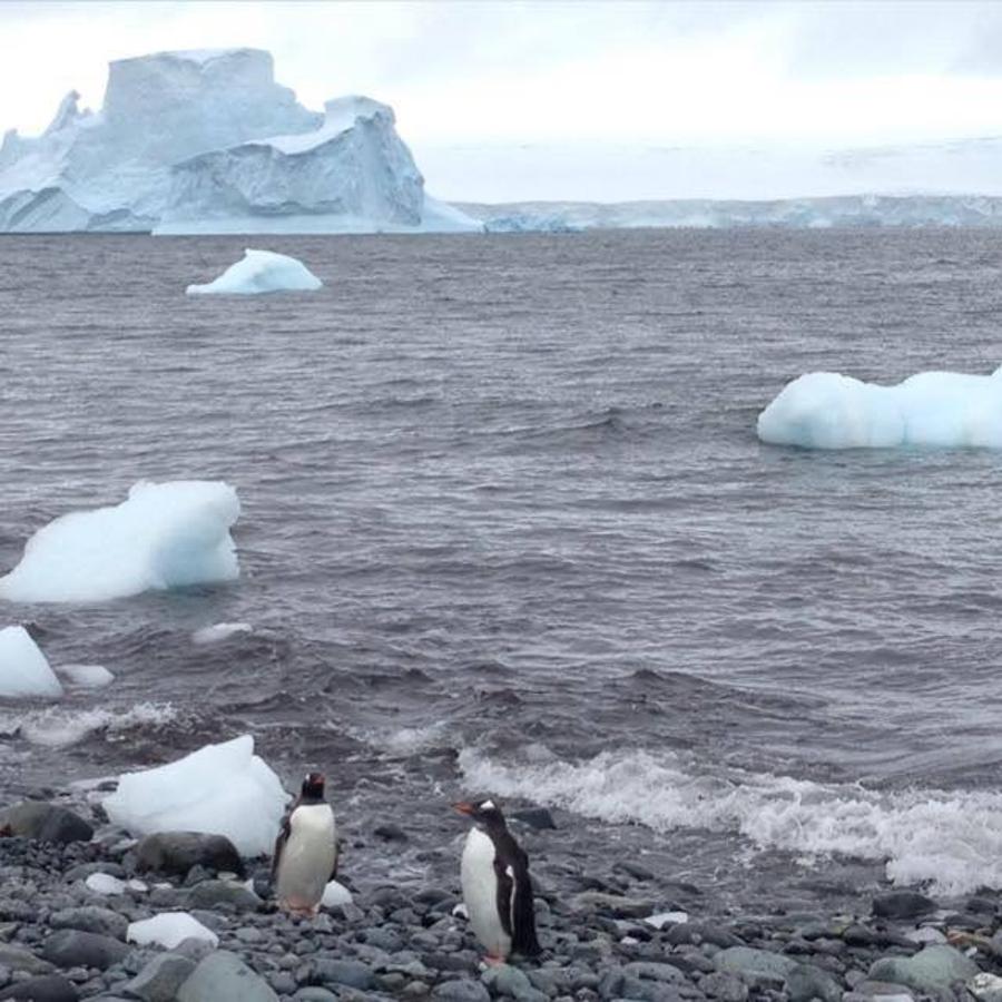 Iñaki Irastorza es un ingeniero donostiarra que durante cuatro meses al año viaja al continente más austral de la sierra