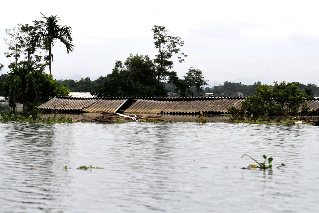 El municipio de Nam Phuong Tien, distrito de Chuong My en Hanói inundado el 30 de julio de 2018. Las fuertes lluvias de la semana pasada provocaron inundaciones en más de 600 casas del distrito, y alrededor de 830 hogares permanecen incomunicados, informaron hoy medios locales.