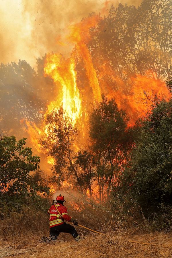 El incendio del Algarve portugués continúa su avance alimentado por el viento y la complicada orografía del terreno, donde más de un millar de bomberos buscan la fórmula para frenarlo tras quemar miles de hectáreas.