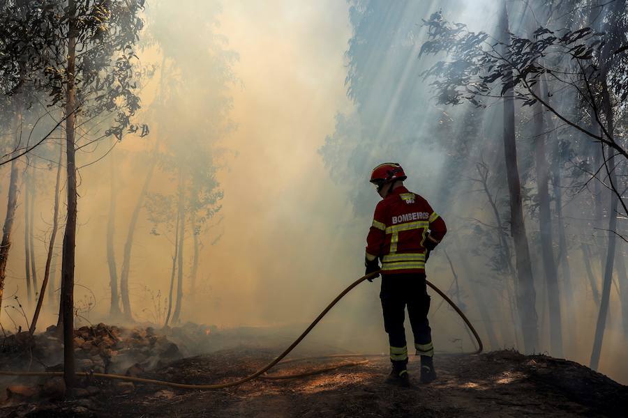 El incendio del Algarve portugués continúa su avance alimentado por el viento y la complicada orografía del terreno, donde más de un millar de bomberos buscan la fórmula para frenarlo tras quemar miles de hectáreas.