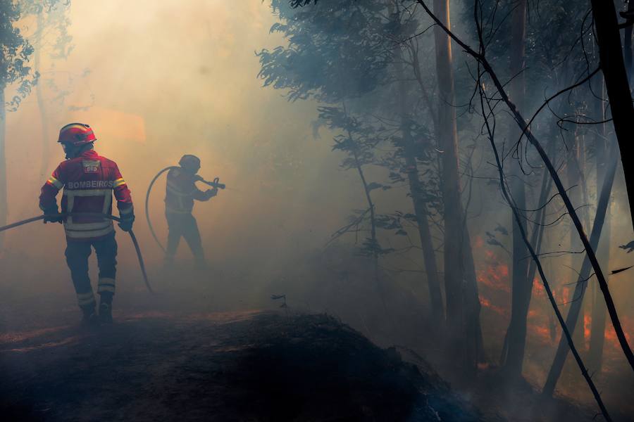 El incendio del Algarve portugués continúa su avance alimentado por el viento y la complicada orografía del terreno, donde más de un millar de bomberos buscan la fórmula para frenarlo tras quemar miles de hectáreas.