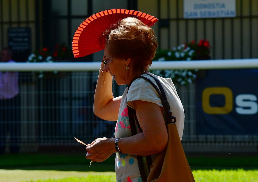 El caballo tordo de 4 años 'Cnicht' se ha impuesto este miércoles en los 2.400 metros de la Copa de Oro de San Sebastián, la carrera estrella del hipódromo donostiarra, con la monta del jockey Roberto Carlos Montenegro.