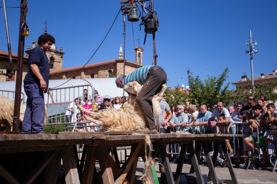 El Artzain Eguna de Gipuzkoa ha cumplido este domingo 28 años celebrándose en el centro de Legazpi, con la flor y nata del pastoreo del territorio como protagonistas.