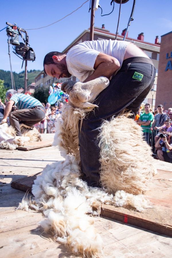 El Artzain Eguna de Gipuzkoa ha cumplido este domingo 28 años celebrándose en el centro de Legazpi, con la flor y nata del pastoreo del territorio como protagonistas.