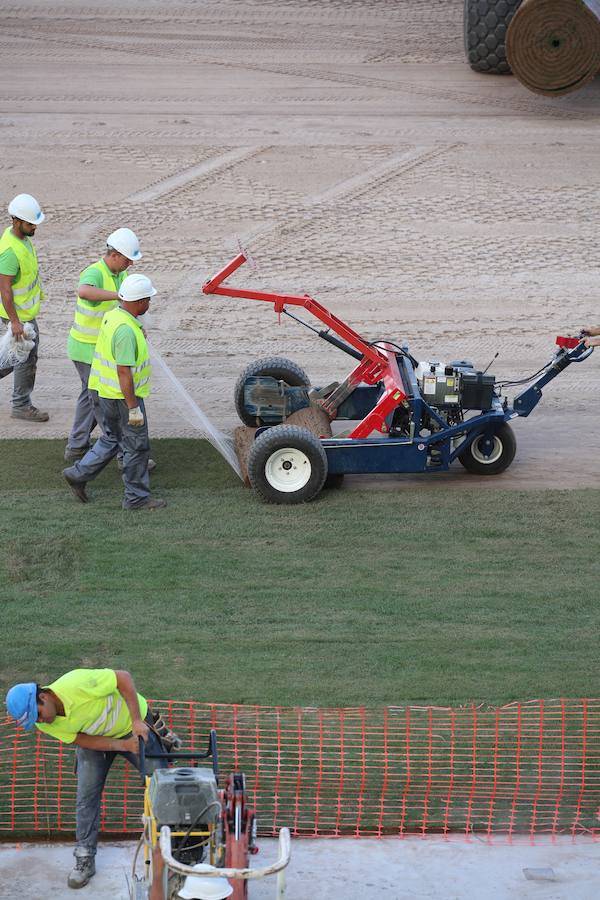 Este lunes ha dado comienzo la instalación del nuevo césped en el estadio txuri-urdin. El arranque ha sido por la Tribuna Oeste