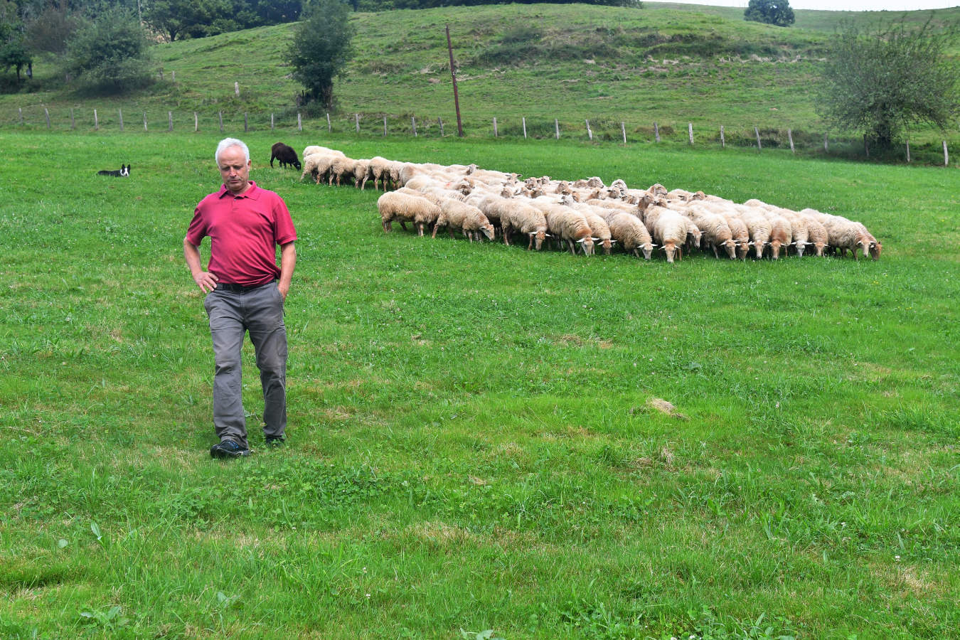 Julen Arburua hace queso en un caserío muy apartado de Baztan. El campeón quiere agradecer la ayuda que ha recibido de las queserías Aizpea e Ipiñaburu