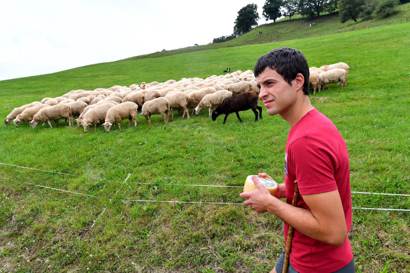 Julen Arburua hace queso en un caserío muy apartado de Baztan. El campeón quiere agradecer la ayuda que ha recibido de las queserías Aizpea e Ipiñaburu
