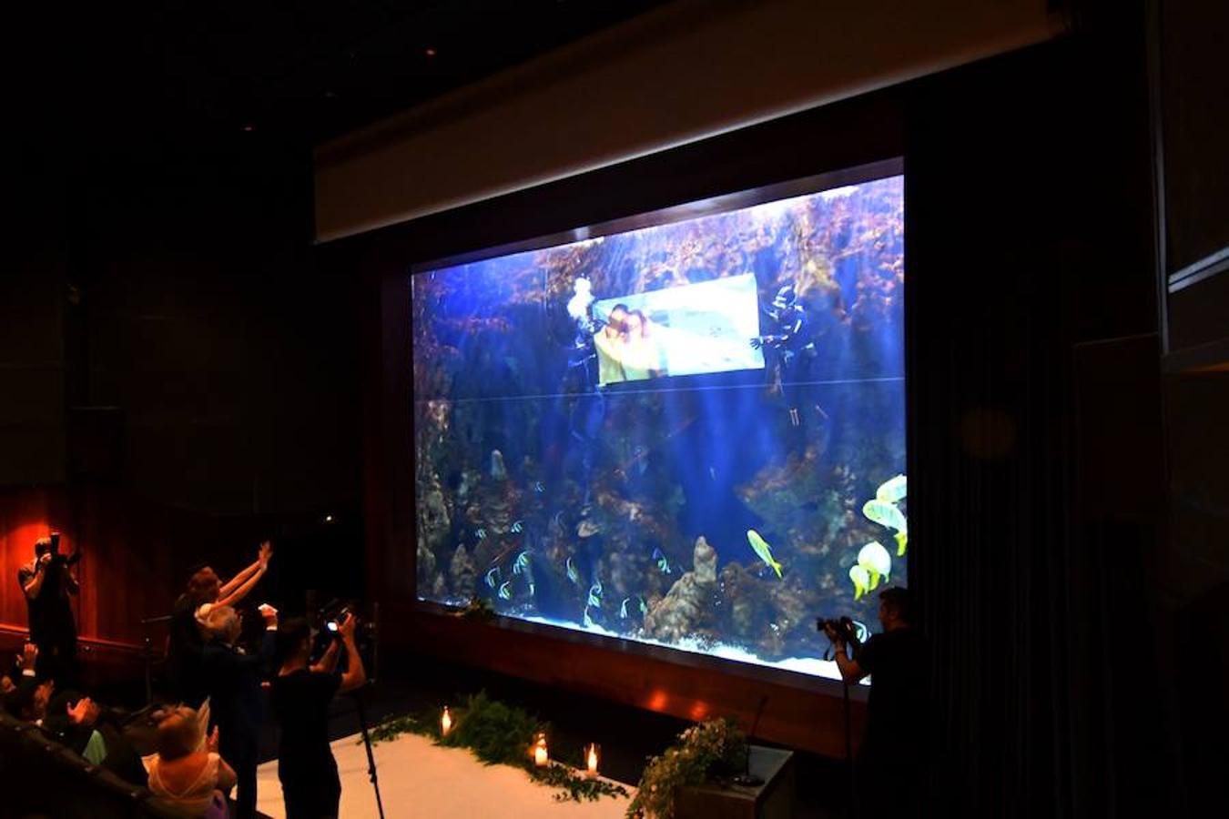 El Aquarium donostiarra acoge el enlace de una de sus trabajadoras. La ceremonia ha tenido lugar en el auditorio del museo 
