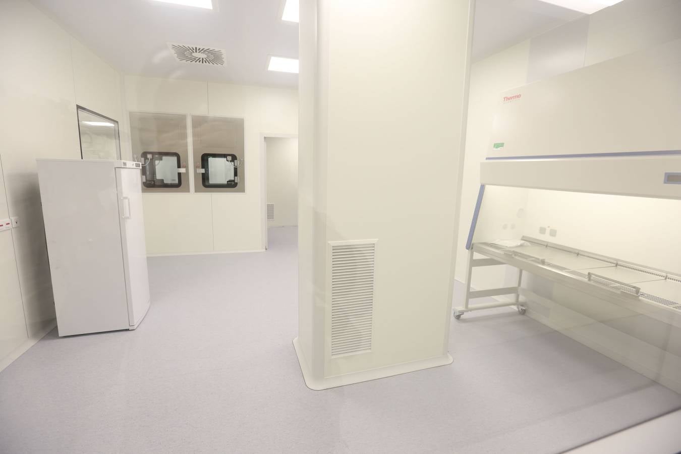 Terapia génica que ayude a curar enfermedades que ahora carecen de tratamiento. Este es el objetivo de Viralgen, una planta puntera en terapia génica que ha abierto en la capital guipuzcoana