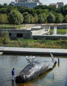 Imagen secundaria 2 - El cachalote, este viernes en Madrid. 