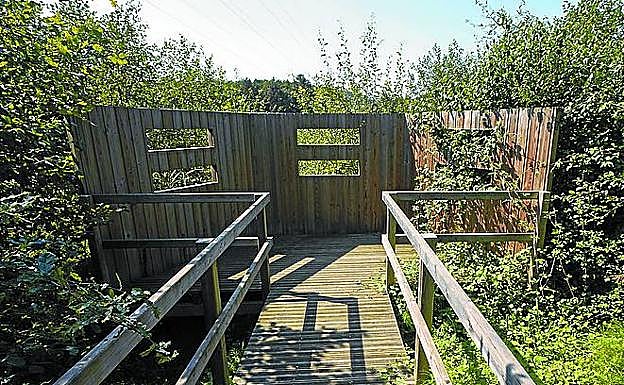 La plataforma de avistamiento de pájaros 