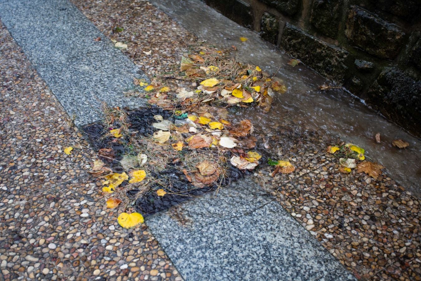 Después de un viernes y un sábado con temperaturas más que veraniegas, que animaron a acercarse a la playa, el largo fin de semana concluye con lluvia, y mucha.