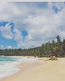 Imagen secundaria 2 - Propietarios de un hotel por una borrachera en la luna de miel