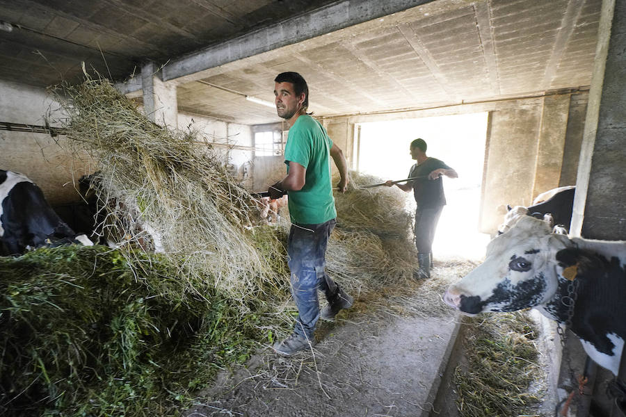 Gorka Iruretagoiena es un joven guipuzcoano que está orgulloso de formar parte del grupo de especialistas que hace sustituciones en un mundo, el rural, en el que es complejo tener días de fiesta
