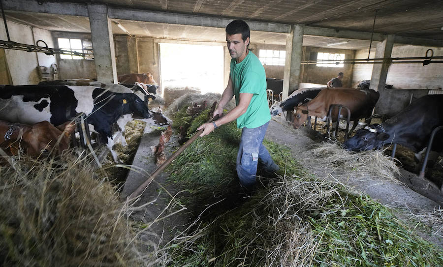 Gorka Iruretagoiena es un joven guipuzcoano que está orgulloso de formar parte del grupo de especialistas que hace sustituciones en un mundo, el rural, en el que es complejo tener días de fiesta