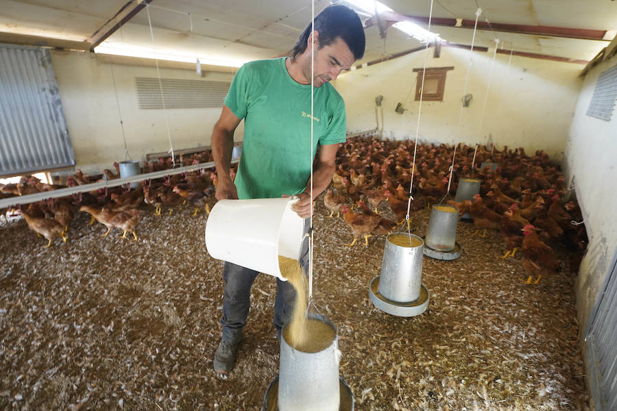 Gorka Iruretagoiena es un joven guipuzcoano que está orgulloso de formar parte del grupo de especialistas que hace sustituciones en un mundo, el rural, en el que es complejo tener días de fiesta