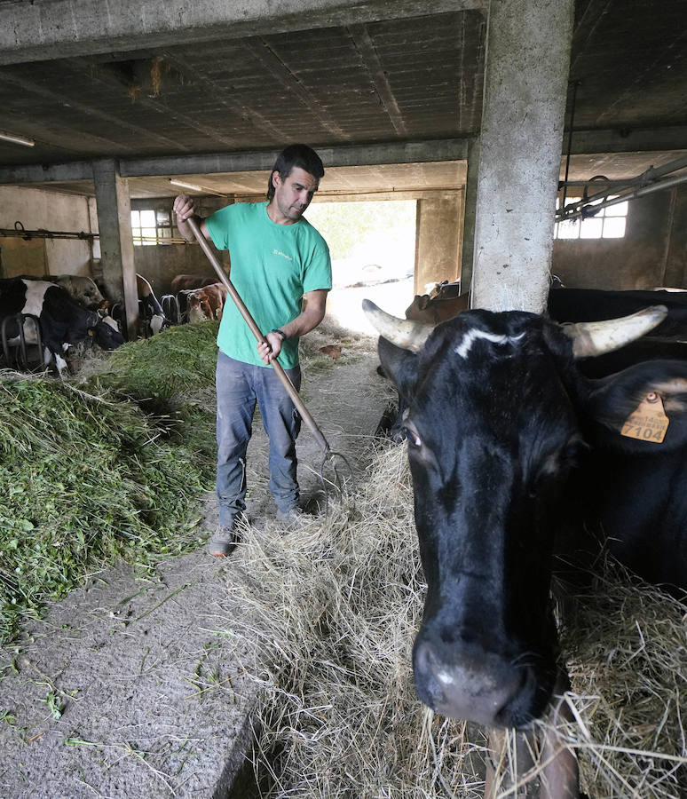 Gorka Iruretagoiena es un joven guipuzcoano que está orgulloso de formar parte del grupo de especialistas que hace sustituciones en un mundo, el rural, en el que es complejo tener días de fiesta