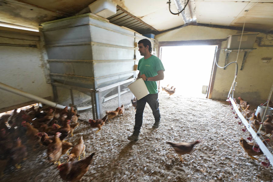 Gorka Iruretagoiena es un joven guipuzcoano que está orgulloso de formar parte del grupo de especialistas que hace sustituciones en un mundo, el rural, en el que es complejo tener días de fiesta