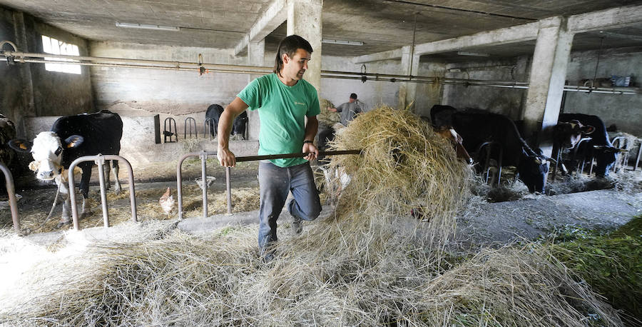 Gorka Iruretagoiena es un joven guipuzcoano que está orgulloso de formar parte del grupo de especialistas que hace sustituciones en un mundo, el rural, en el que es complejo tener días de fiesta