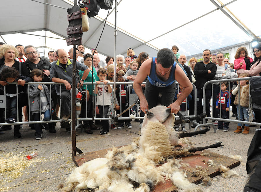 Las productoras de leche llegaron el domingo hasta el centro de Eibar en una animada feria que ofreció lana, esquilada y trabajada, y quesos del Bajo Deba.