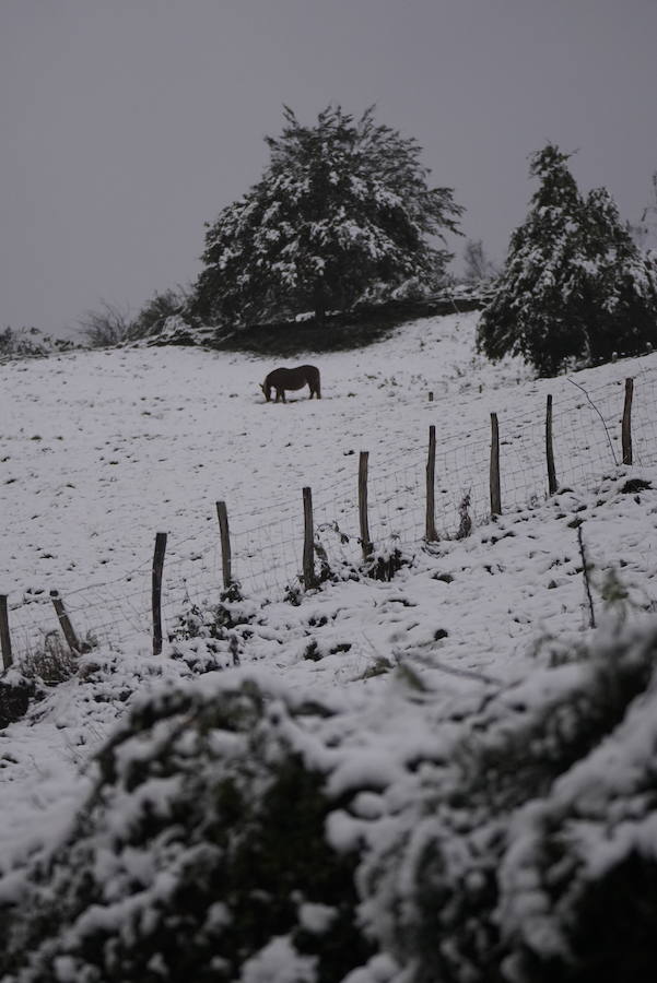 Localidades como Berastegi han amanecido bajo un manto blanco