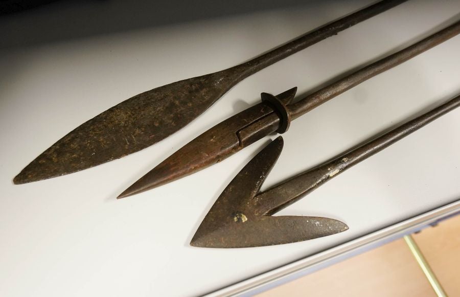 Un almacén oculto en un barrio de Donostia atesora miles de joyas que no tienen cabida en el Aquarium 