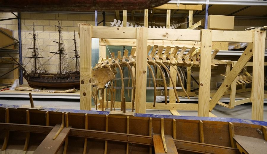 Un almacén oculto en un barrio de Donostia atesora miles de joyas que no tienen cabida en el Aquarium 