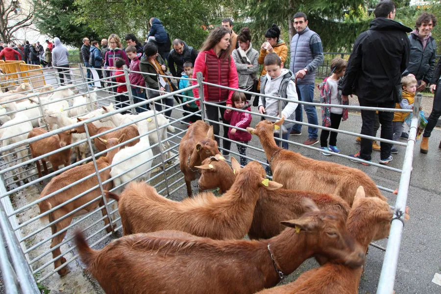 El Concurso de Quesos del Parque Natural Aizkorri-Aratz ha cumplido veinte años, con txapela para una quesería alavesa, la de Patxi López de Uralde, de Larrea.