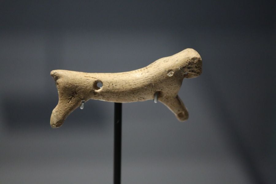 Además del espectacular esqueleto del león de Arrikutz, la exposición, cuenta con otras 16 piezas entre fósiles originales, réplicas y piezas de arte rupestre, así como con un audiovisual.