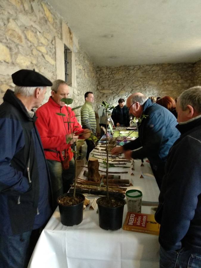 XVIII. Errezil Sagar Lehiaketa eta Baserriko Produktuen Azoka jendetsua izan ziren atzo Gabirian.