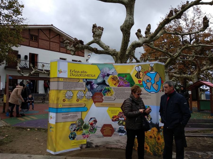 XVIII. Errezil Sagar Lehiaketa eta Baserriko Produktuen Azoka jendetsua izan ziren atzo Gabirian.