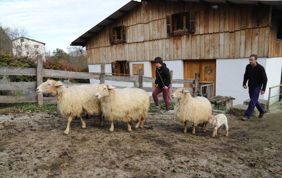 Jon y Martina cambiaron la cocina por el pastoreo y hoy viven felices en su casa y quesería Garoa de Zerain.