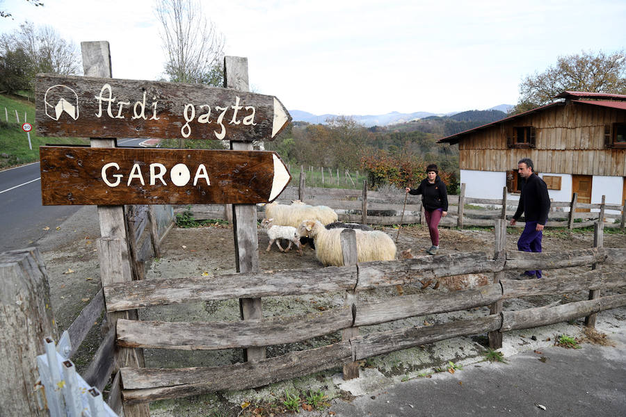 Jon y Martina cambiaron la cocina por el pastoreo y hoy viven felices en su casa y quesería Garoa de Zerain.