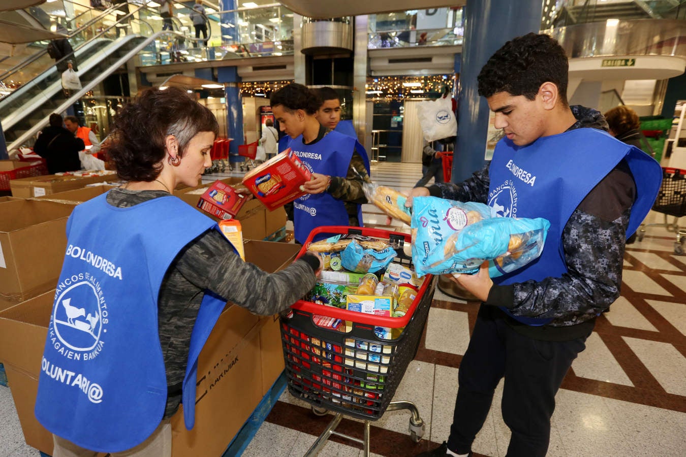 La Gran Recogida de Alimentos ha arrancado a buen ritmo en los más de 170 establecimientos guipuzcoanos que participan entre este viernes y sábado en la iniciativa del Banco de Alimentos. La Gipuzkoa solidaria ha vuelto ha demostrar su capacidad para volcarse con familias sin recursos que se ven obligadas a recurrir al Banco de Alimentos. 