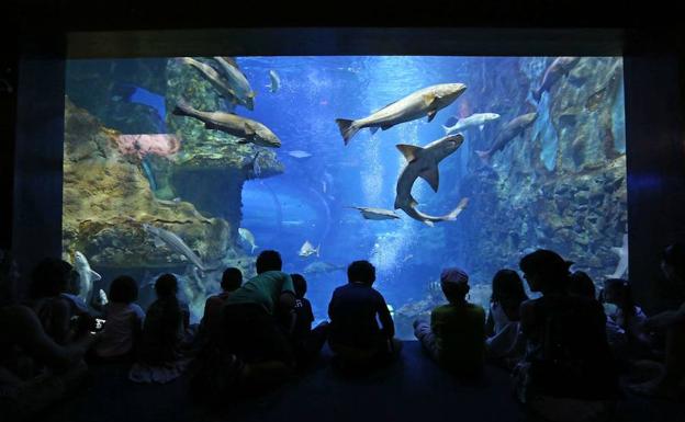 Visitantes en el Aquarium donostiarra